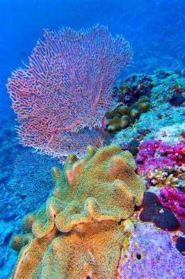  Elephant Ear Coral: Discovering the Quirks of an Underwater Giant!