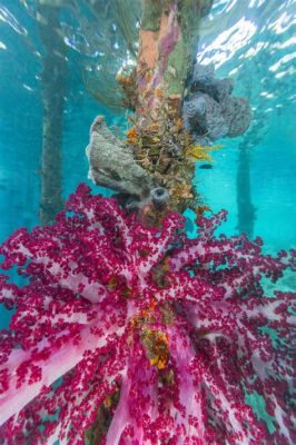 Green Barrel Sponge:  A Colorful Underwater Structure That Thrives In Shallow Reef Waters!