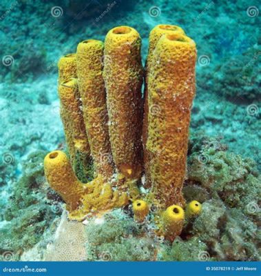  Yellow Tube Sponge! A Resilient Filter Feeder Thriving on Sunlight and Currents